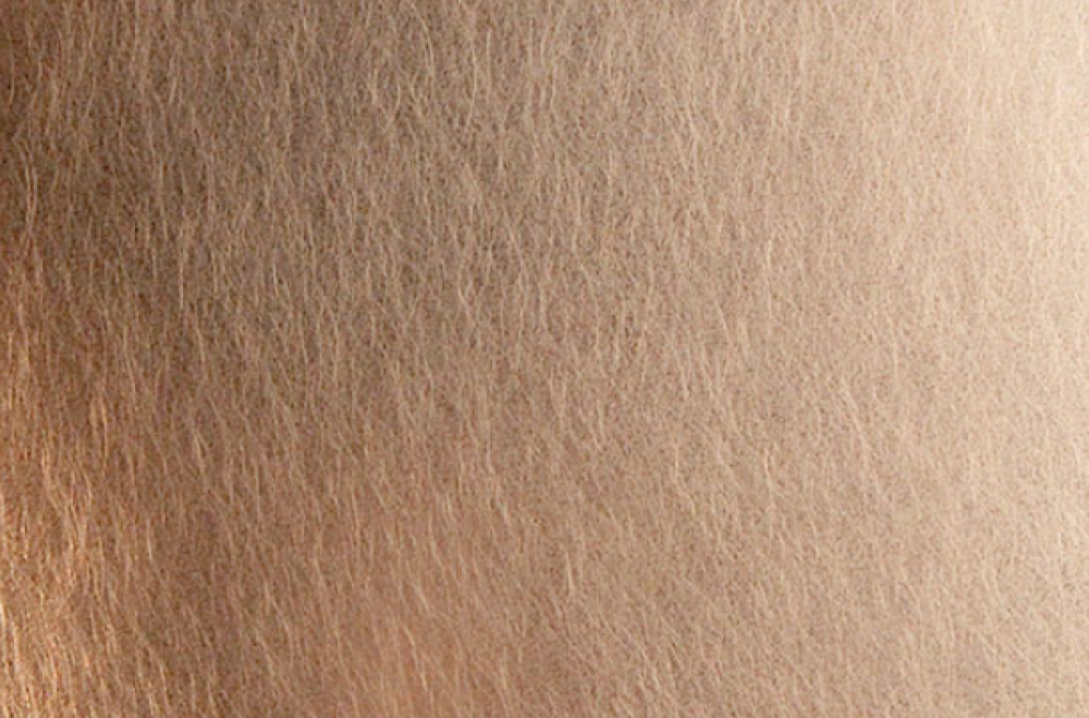 Brown Brown